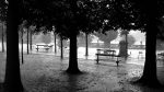 Robert Bared - A public garden in the rain